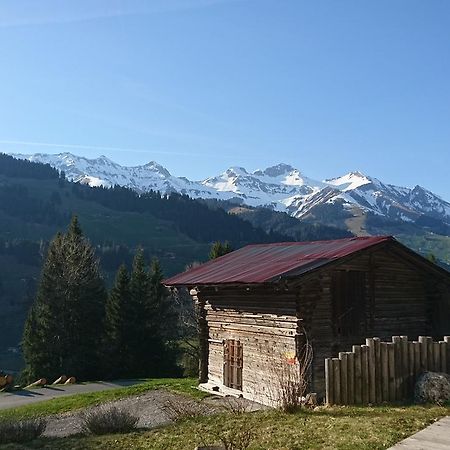 Chalet Giisstalli Apartman Adelboden Kültér fotó