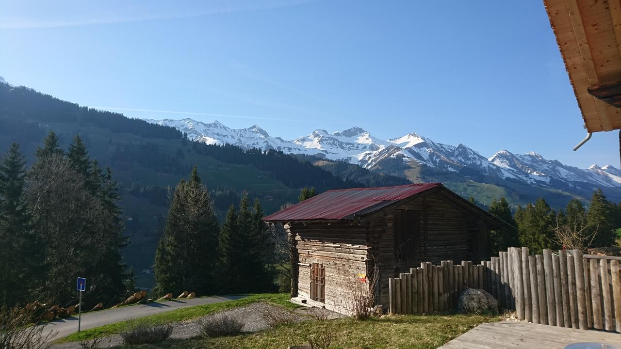 Chalet Giisstalli Apartman Adelboden Kültér fotó